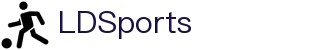 乐动·LDSports(中国)体育官网"
