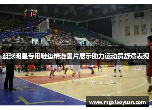 篮球明星专用鞋垫精选图片展示助力运动员舒适表现