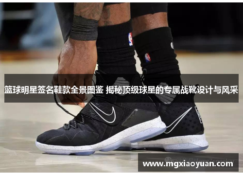 篮球明星签名鞋款全景图鉴 揭秘顶级球星的专属战靴设计与风采